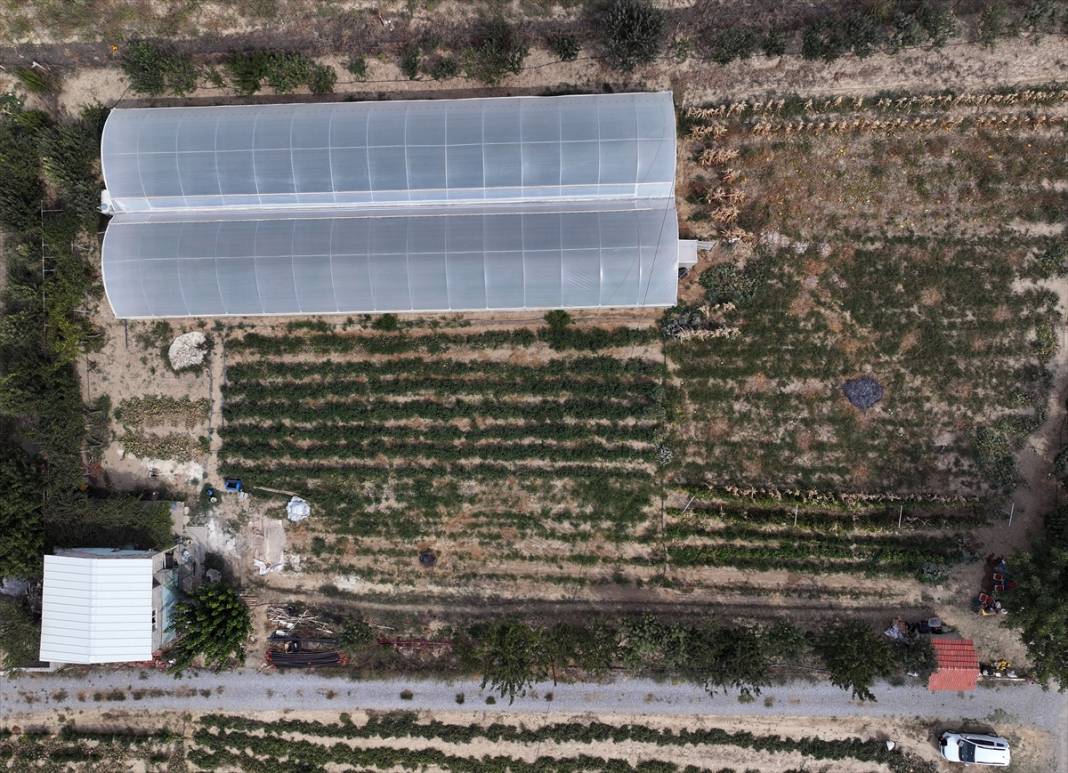 Özelliğini duyan Konya’daki bu bahçeye koşuyor 9